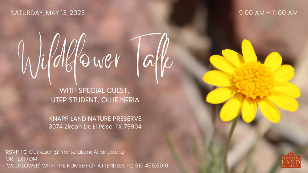 Wildflower Talk Knapp Land Nature Preserve in El Paso EPStuff