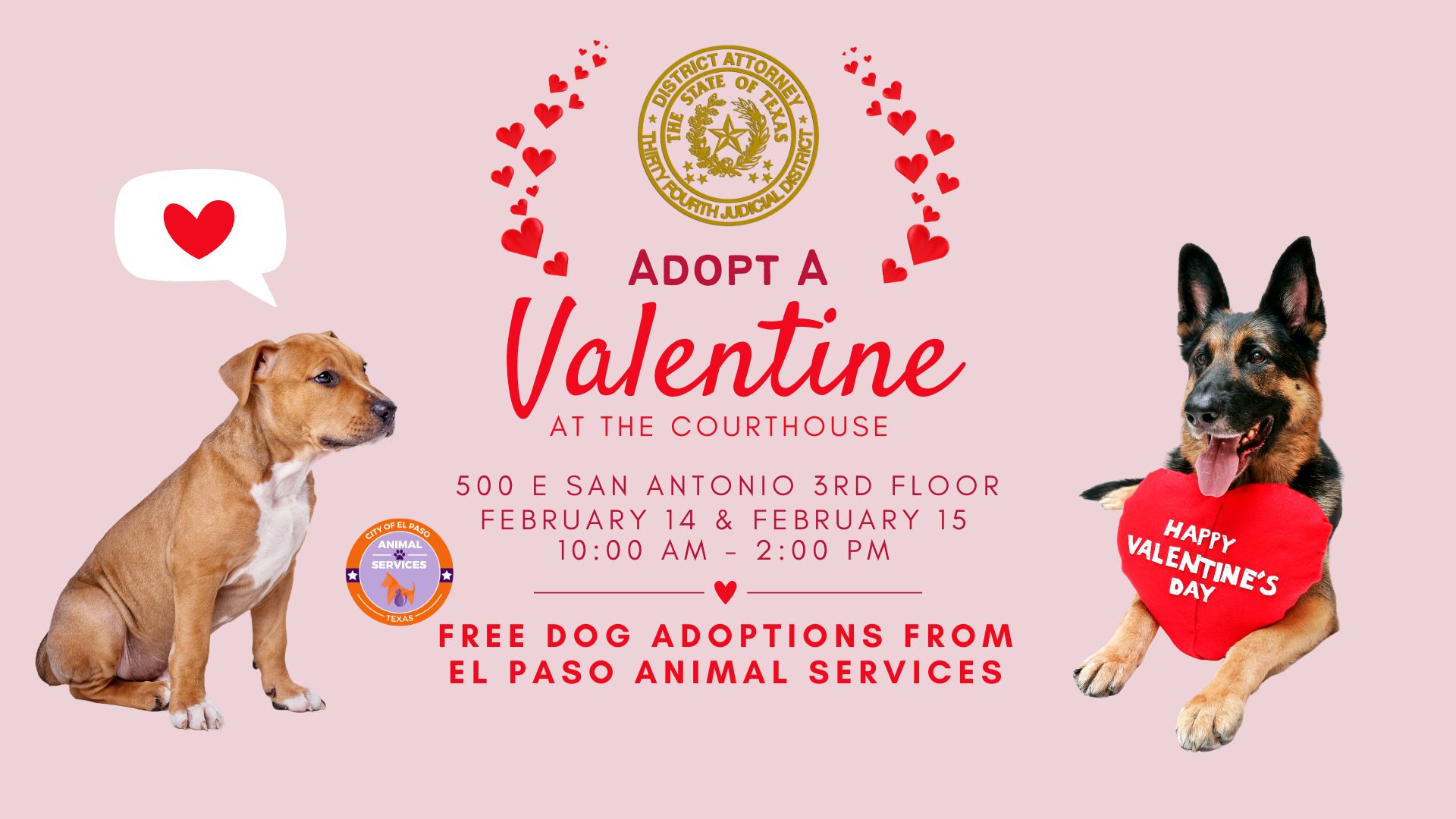 adopt-a-valentine-at-the-courthouse-epstuff
